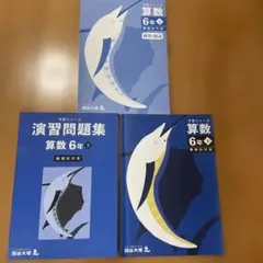 算数 6年 予習シリーズ演習問題集 四谷大塚　下　難関校対策