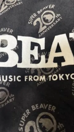 SUPER BEAVER 2005 ブランケット - メルカリ
