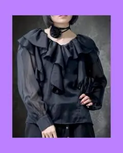 【JOAN】新品　Lサイズ社交ダンス シアー袖ローズプリントカットソー12107 JOAN】新品 Lサイズ社交ダンス シアー袖ローズプリントカットソー12107