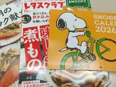 レタスクラブ　11月号増刊号