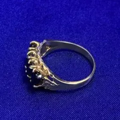 Item thumbnail for item c90638a1-93cb-4952-8a8f-bab575079be9