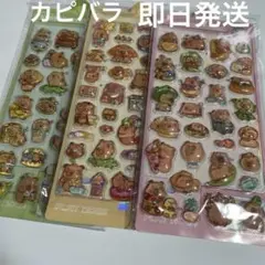 【即日発送】カピバラ　ウォーターシール３枚