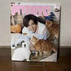 POTATO 2020年4月号 小瀧望