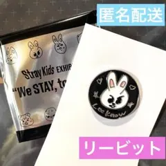Stray Kids スキズ ランダムピンバッチ リービット