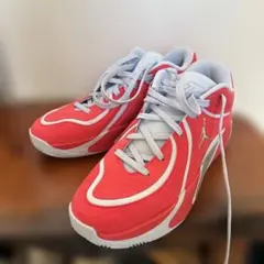 Item thumbnail for item 133bca63-4f1c-420a-a545-3bebf25b116c