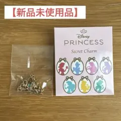 【新品未使用品】ディズニーストア プリンセス シークレット ティアラチャーム