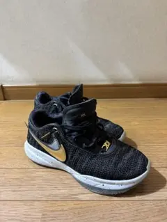 Item thumbnail for item 82ebe7c5-cfcd-443c-a8b2-90fde29a37e9