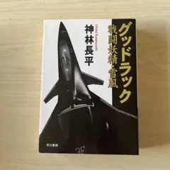 グッドラック 戦闘妖精・雪風