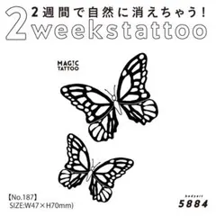 Item thumbnail for item 9d19dace-21b2-4fe9-9ec3-e6b547f7770c