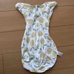 Item thumbnail for item b96e9296-c32d-4fab-b73d-2b77bf1989de