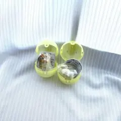 クレヨンしんちゃん つまんでつなげてますこっとパステルカラー ✰ セット