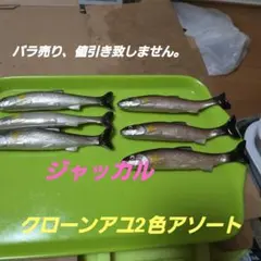 Item thumbnail for item 97fd2546-6fa0-4c40-8c4f-aad2fedd7a4a