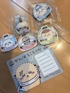 ちいかわ　くら寿司　マスコット　モモンガ　ハチワレ　くりまんじゅう