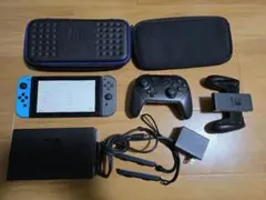 Nintendo Switch 本体 グレー 青 プロコン付き ケース付き