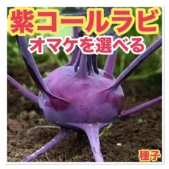 makio様 リクエスト 2点 まとめ商品