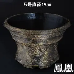 新作】羅生〜鳳凰〜 5号直径15㎝ 3dプリンター鉢 作家鉢 アガベ