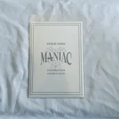 Stray Kids リノ ライブフォト MANIAC