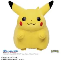 ポケモン30周年記念おかえり!ピカチュウ1/1