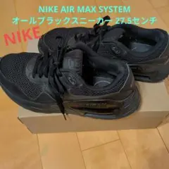 Nike Air Max ブラックスニーカー