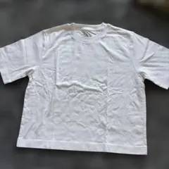 無印　白T