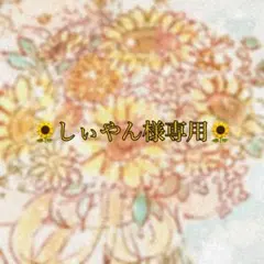 しぃやん様 リクエスト 3点 まとめ商品