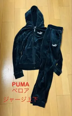 PUMA ベロア　ジャージ　上下セット　レディース