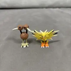 サンダー　ドードー　ポケモン　フィギュア
