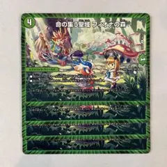 146679 命の集う聖域フィオナの森