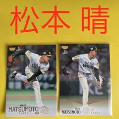 松本晴 2枚セット カード