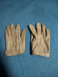 Item thumbnail for item d459a4df-f8ae-4400-9e2b-64ed0f5678df