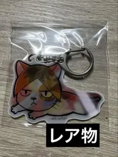 ハイキュー 孤爪研磨 アクリルキーホルダー