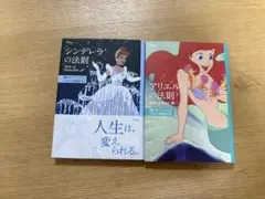 シンデレラの法則 アリエルの法則 2冊セット