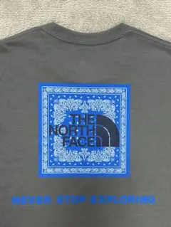 【美品】ノースフェイス バンダナ スクエアロゴ Tシャツ グレー Lサイズ