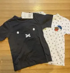 Item thumbnail for item a500c639-bcce-4d93-a708-457e0f555c86