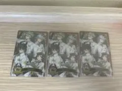 ディアソムニア寮 カード マレウス リリア シルバー セベク 実験服