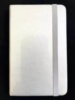 Item thumbnail for item 5e3c24cf-8894-4141-9a1e-7899ca77065d