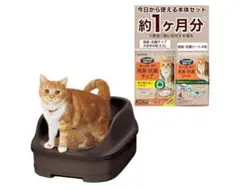 Item thumbnail for item 42397762-8b45-4029-b352-3af0ce214151