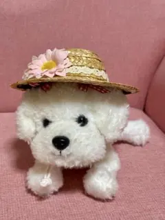 小型犬用　被り物５点
