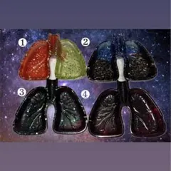 Item thumbnail for item d80faaf7-0193-4554-b438-24155b8c32fe