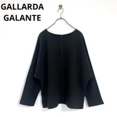 『GALLARDAGALANTE』ガリャルダガランテ(F)Tシャツ コーデュロイ