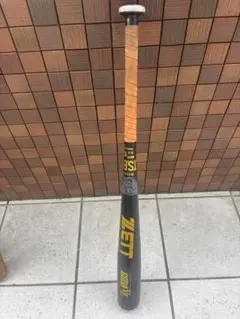 Item thumbnail for item 0fd8d469-465a-46cb-9dd4-56a9613f56ab