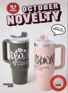 2025年最新】RODEO CROWNS WIDE BOWL タンブラーの人気アイテム - メルカリ 