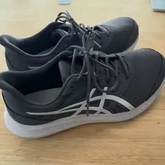 ASICS JOLT4 ランニングシューズ　29cm