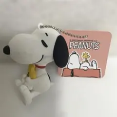 スヌーピー SNOOPY キーホルダー ピーナッツ PEANUTS