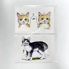 ボリス雑貨店 ポストカード ひとつめちゃん ボリス セット ヒグチユウコ