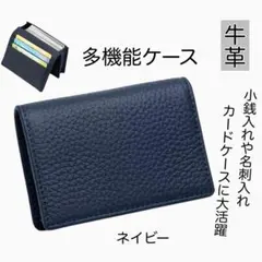 Item thumbnail for item 96af4033-3baa-4c7e-8a47-2d73ce9ec692