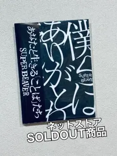 2025年最新】#SUPERBEAVERの人気アイテム - メルカリ