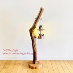 流木インテリア 天然流木のランプスタンド 置物 北欧 照明 ランタン N118