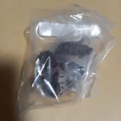 オンライン版　いきもの大図鑑レプティ 恐竜03　トリケラトプス　縞模様