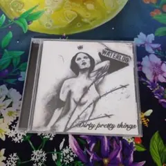 Dirty Pretty Things Waterloo CD 洋楽　状態良し